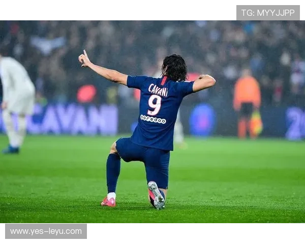 卢卡库与卡瓦尼在禁区占位下形成单点驱动与多点参与差异