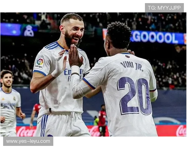 琼阿梅尼是否依赖体系？战术角色与自主性解析